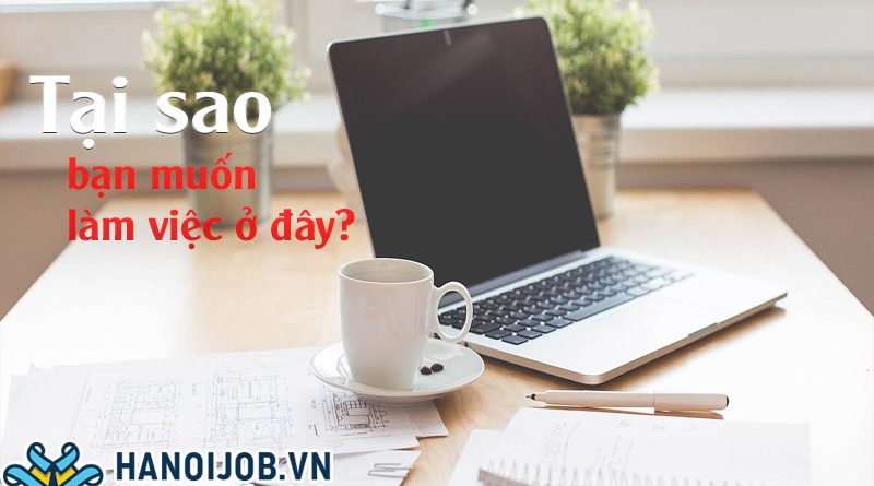 Tại sao bạn lại chọn công ty chúng tôi